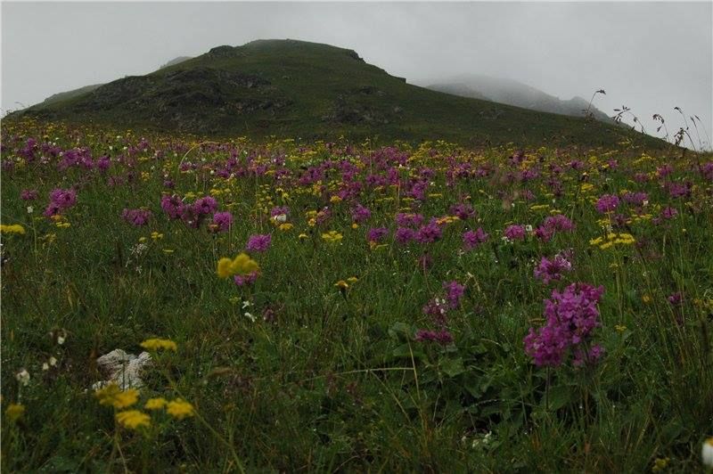 ლაგოდეხის ჩანჩქერ-ტური  ლ,სულ!+ორგუმბათა ყველაწმინდა და კოცონი