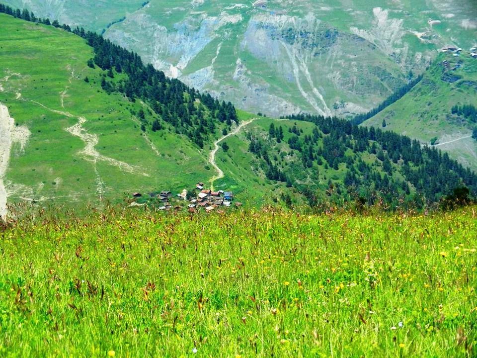 -- აგვისტო