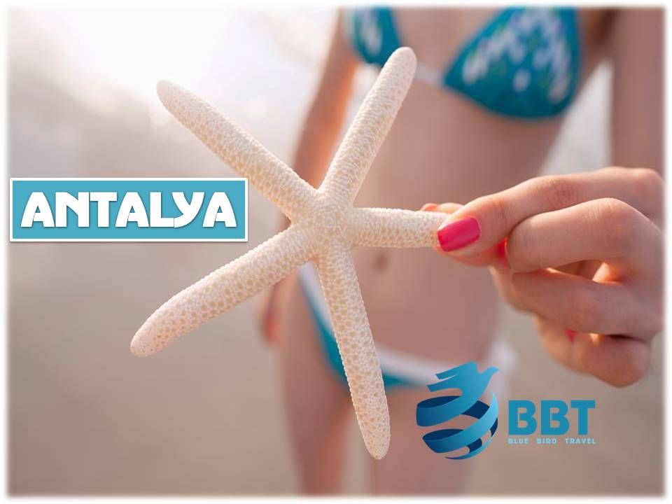 თურქეთი - საუკეთესო ფასად!