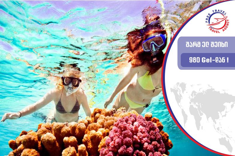 დაჯავშნე წინასწარ, დაისვენე შეღავათიან ფასად !