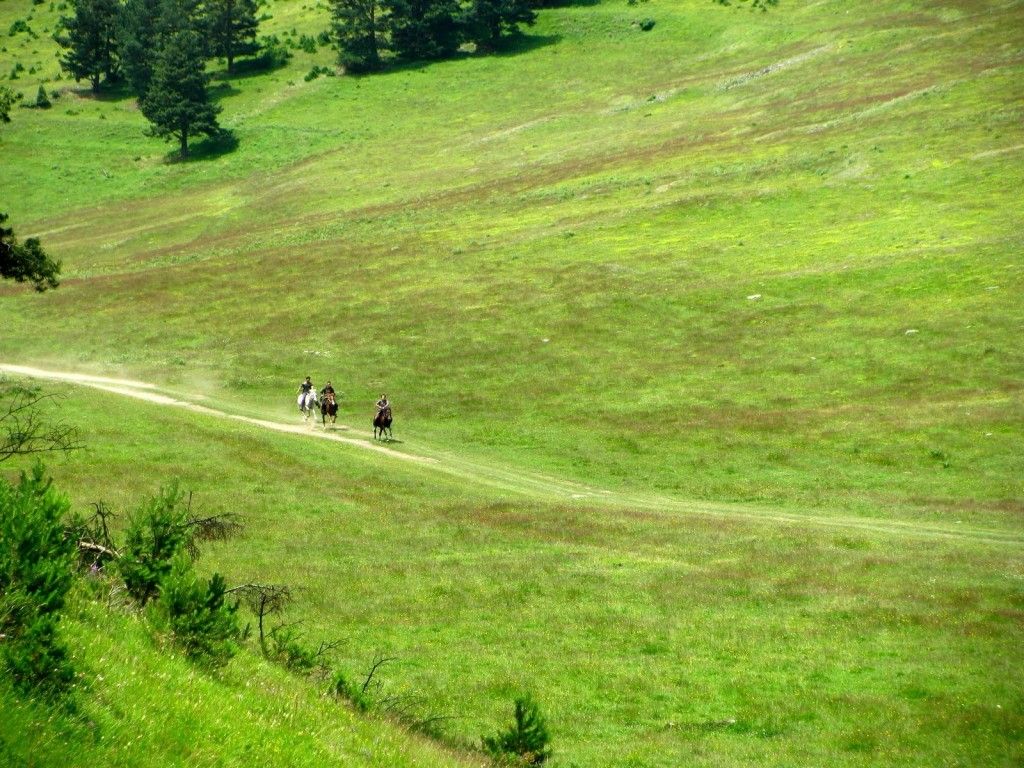 შეხვდით მარიამობას თუშეთში- ჯიპ ტური თუშეთში
