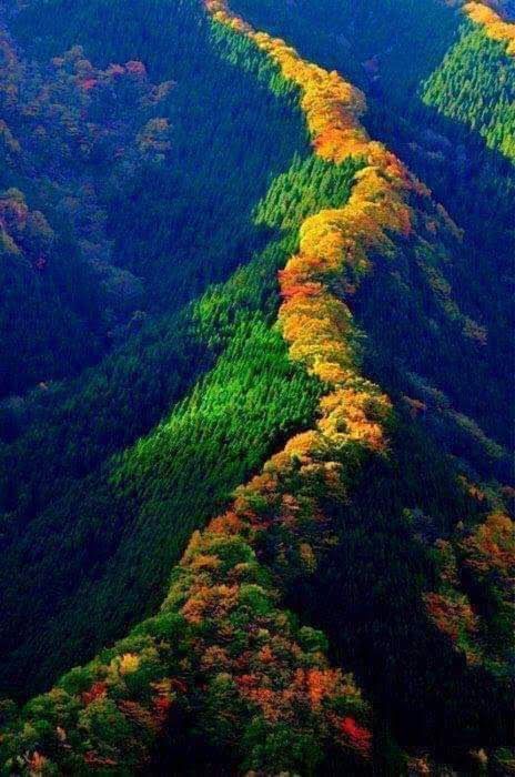 დღიანი დაუვიწყარი ჯიპ–ტური თუშეთში