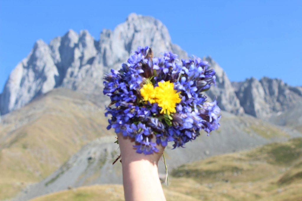 ჯუთა-ჭაუხი-ერთი დღე მთებში ( სექტემბერს)