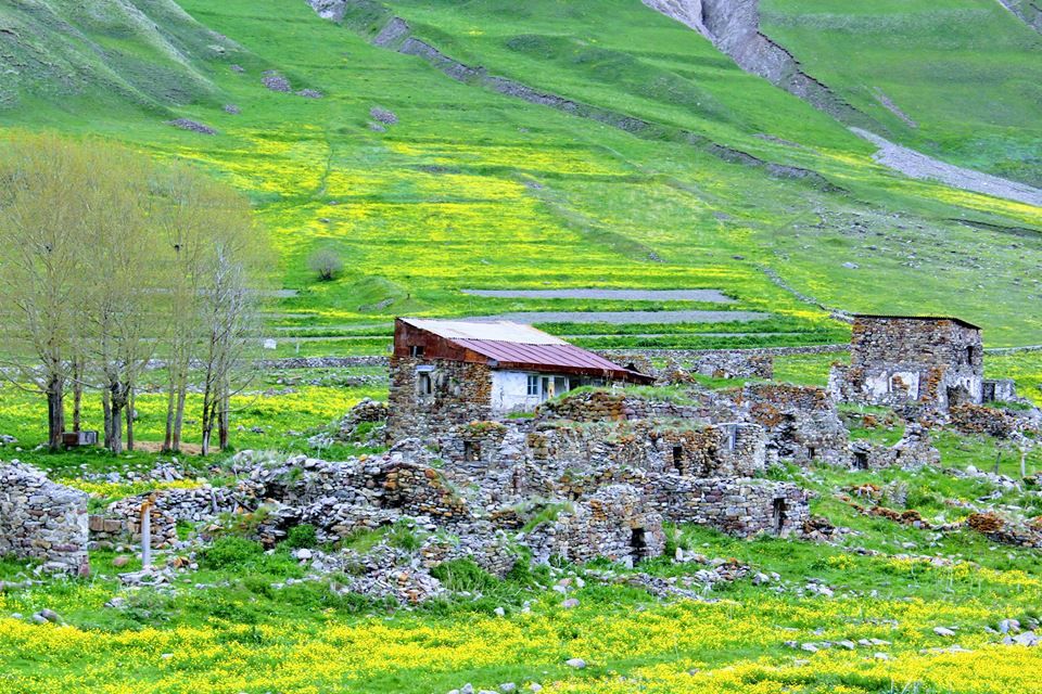 თრუსოს ტრავერტინ-ტური! სულ ლ ა რ ა დ ! ! ! სასწრაფოდ დაგვიკავშირდით !