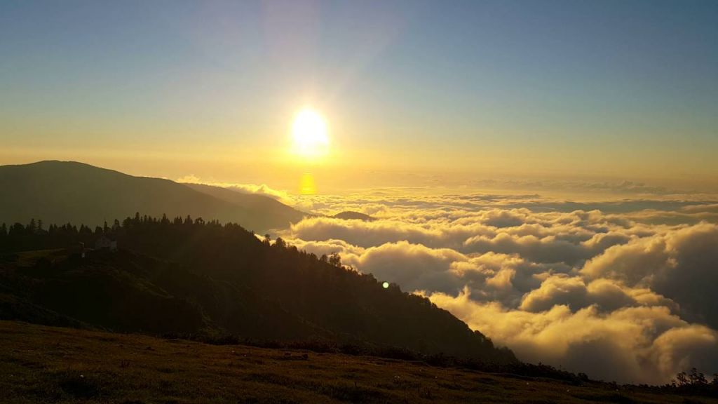 გომის მთა - გურია