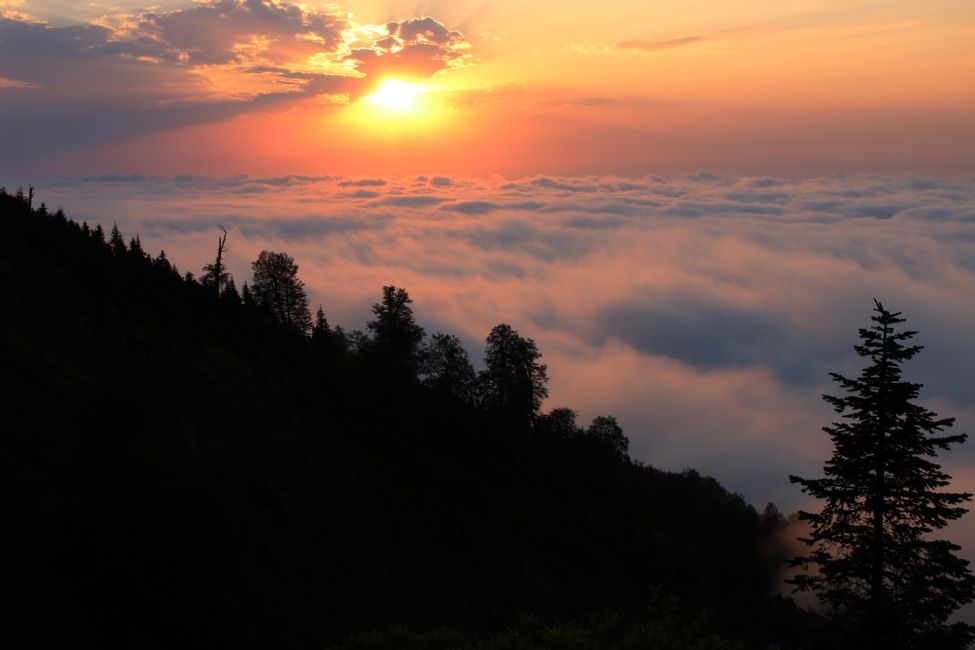 გომის მთა - გურია