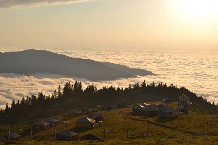 გომის მთა - გურია