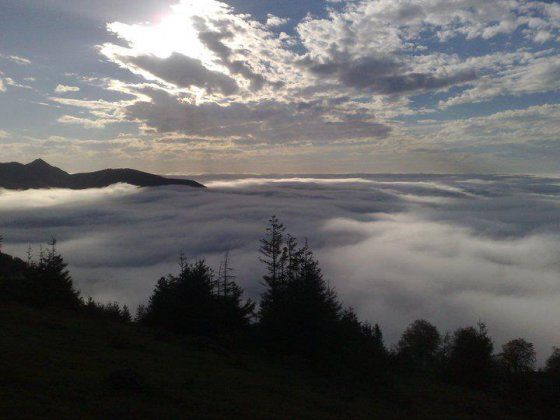 გომის მთა - გურია