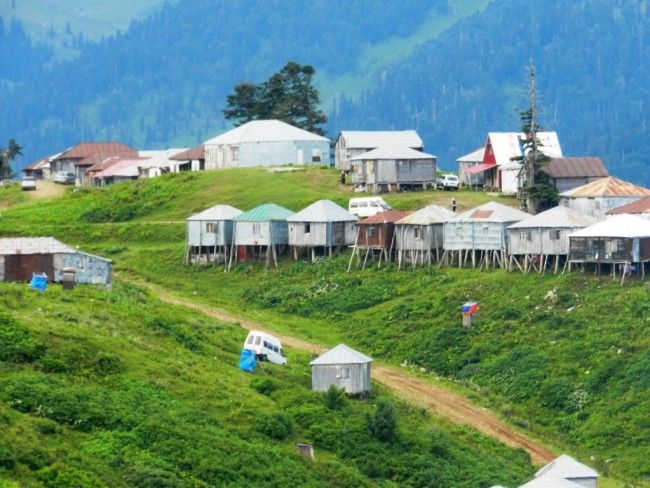 გომის მთა - გურია