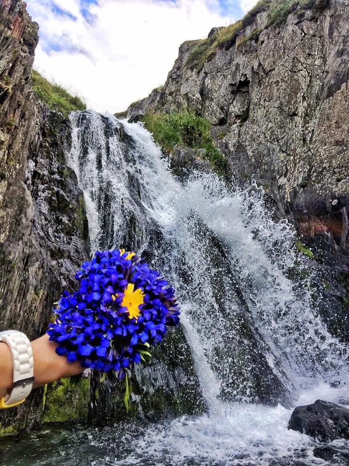 ჯუთა სექტემბერი (კვებით) დარჩა ადგილი