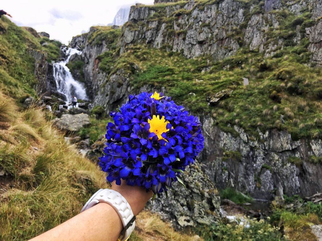 ჯუთა სექტემბერი (კვებით) დარჩა ადგილი