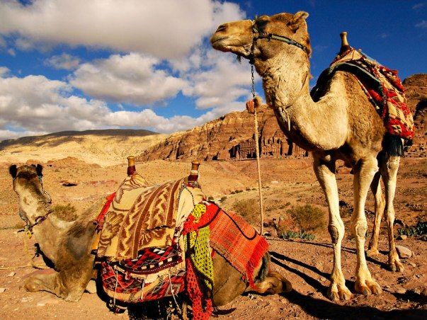 ტური იორდანიაში