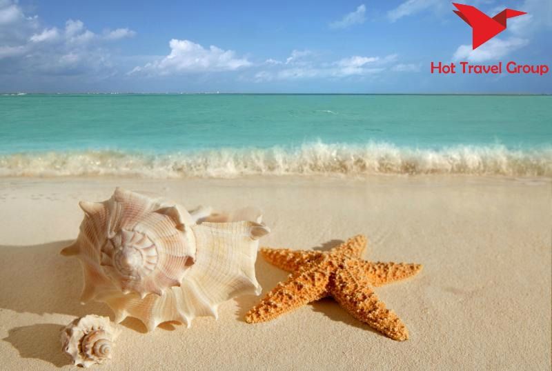 იმოგზაურე შარმ-ელ-შეიხის მიმართულებით !