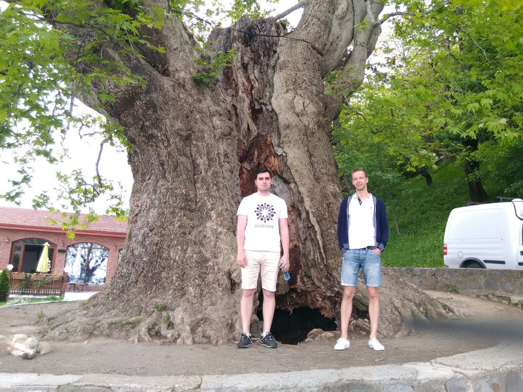 შუამთის მონასტერი, თელავი, წინანდალი, ალავერდი, გრემი, ილიას ტბა, ნეკრესი...