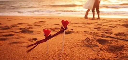 ეგვიპტე ლ. ადამიანი.ასევე სასურველ თარიღებში.