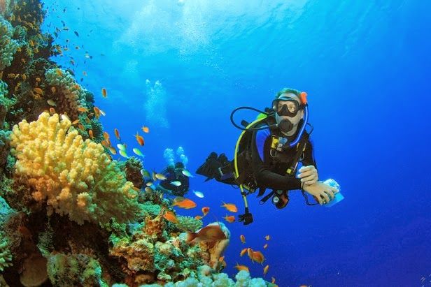 შარმ ელ შეიხის შარმი