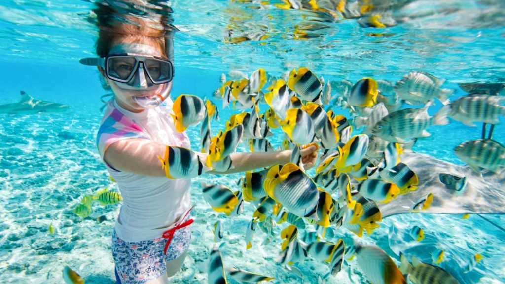 ხურგადა - ზურმუხტისფერი სამყარო