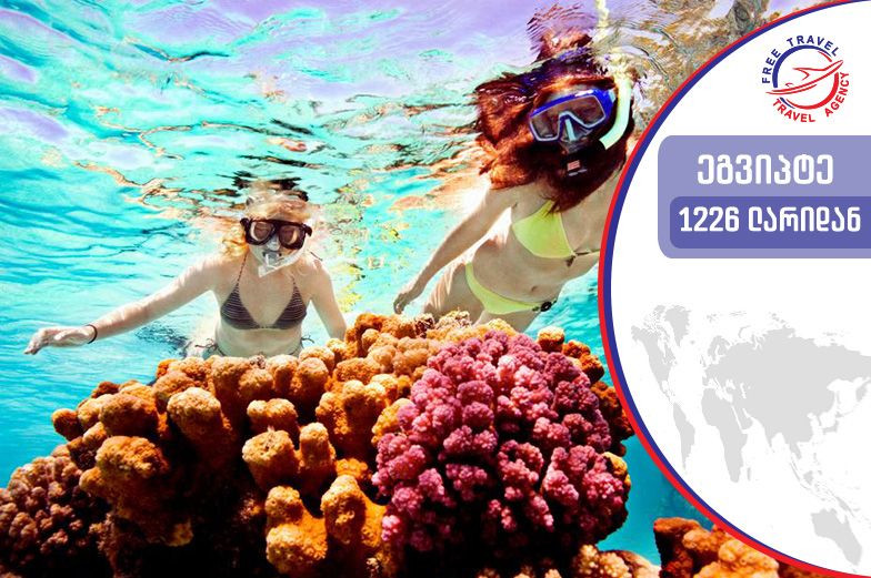 ტური ეგვიპტეში!