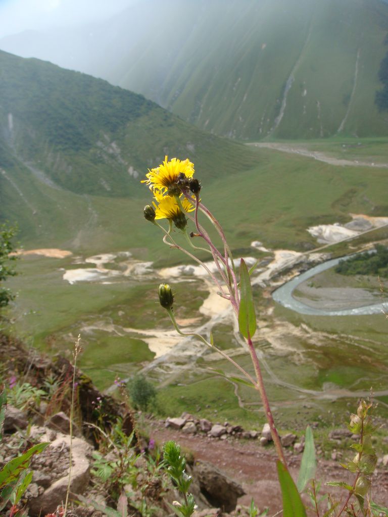 დღიანი ტური თრუსოს ხეობაში
