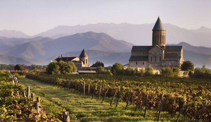 ღვინის ტური - რთველი,დეგუსტაცია,ხინკალლი,შოთი,კახეთის ტაძრები