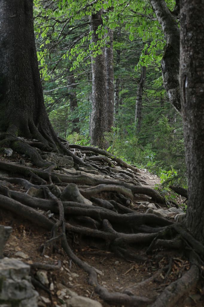 შემოდგომის რაჭა! ორდღიანი ტური რაჭაში - სექტემბერი