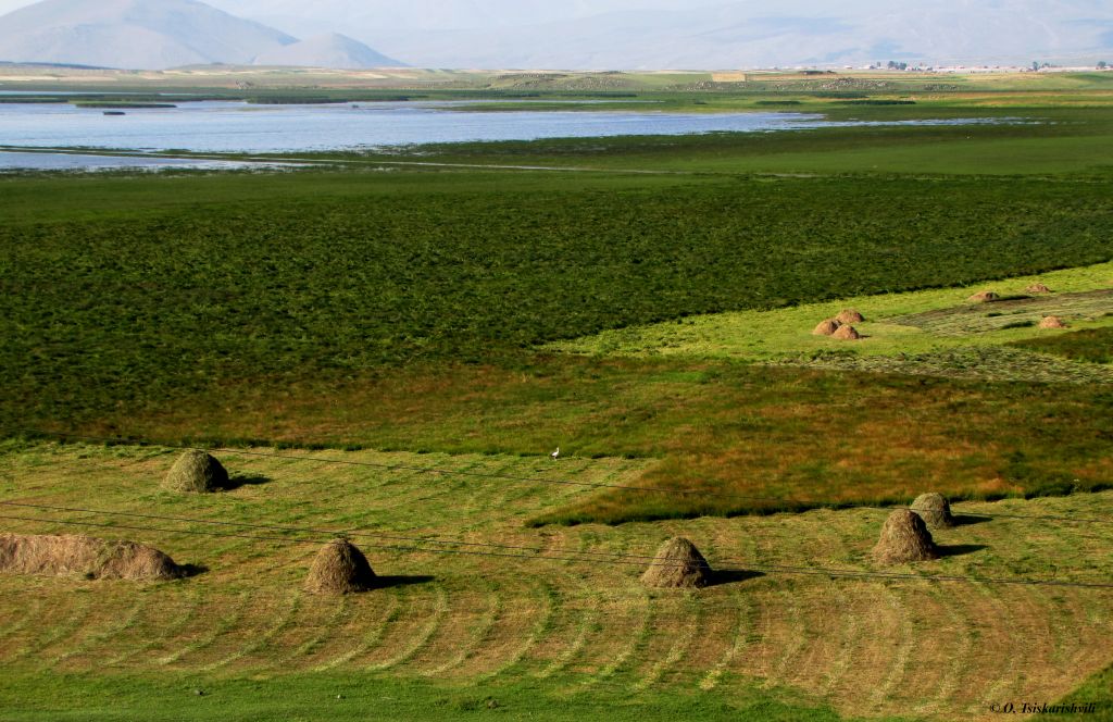 ჯავახეთის ტბები და დუხაბორები