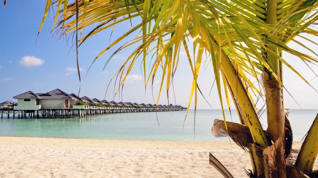 მალდივები