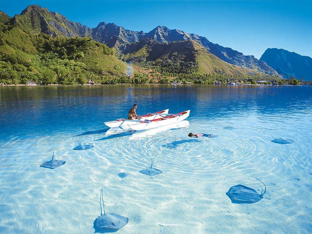 ეგზოტიკური შრი ლანკა