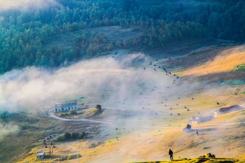 ოქროსფერი შემოდგომა თუშეთში    სექტემბერი  დღიანი ტური     /    