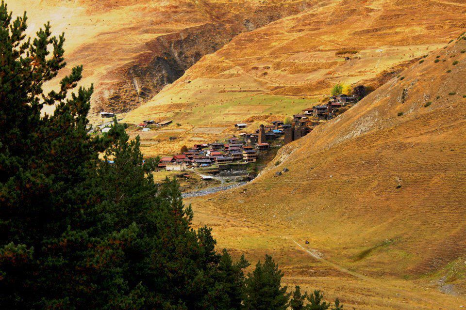 ოქროსფერი შემოდგომა თუშეთში სექტემბერი დღიანი ტური /