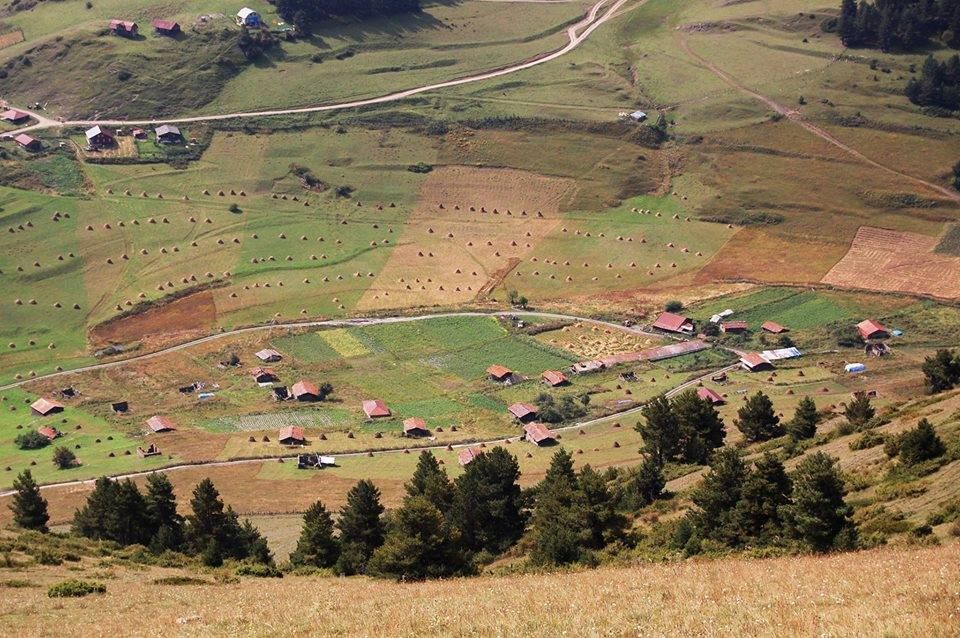 ოქროსფერი შემოდგომა თუშეთში სექტემბერი დღიანი ტური /