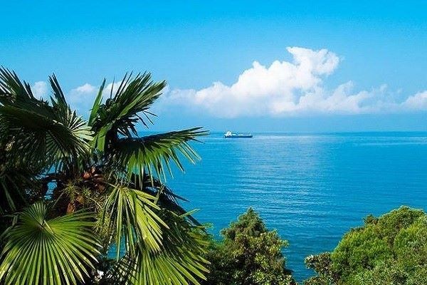 სუპერ შემოთავაზება იჩქარეთ ლარნაკა - აპრილს !!