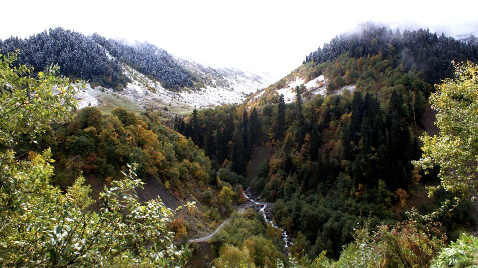 რაჭა - მამისონის უღელტეხილი( დღიანი ტური)