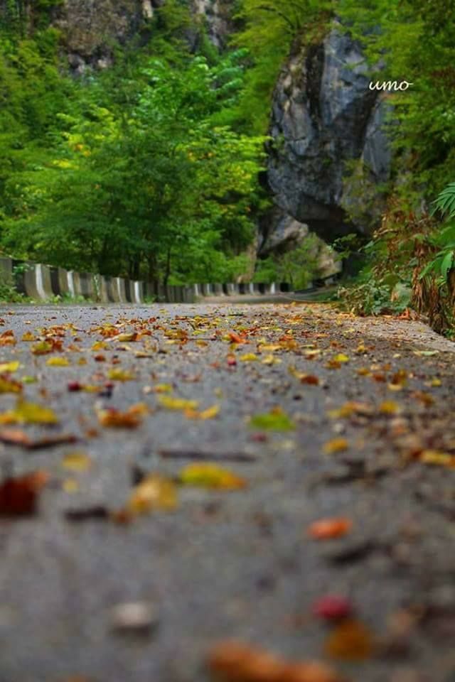 ლაილაშის ერთ დღიანი ტური