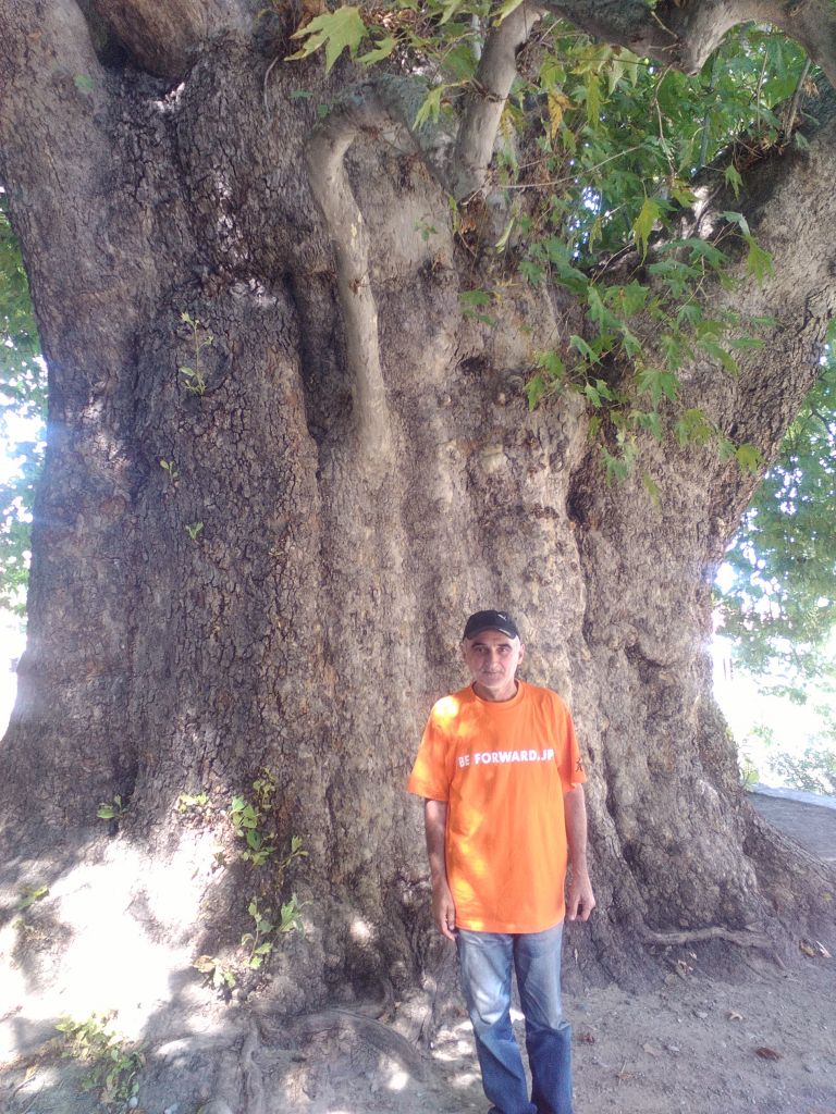 შუამთის მონასტერი, თელავი, წინანდალი, ალავერდი, გრემი, ლოპოტას ტბა, ნეკრესი...