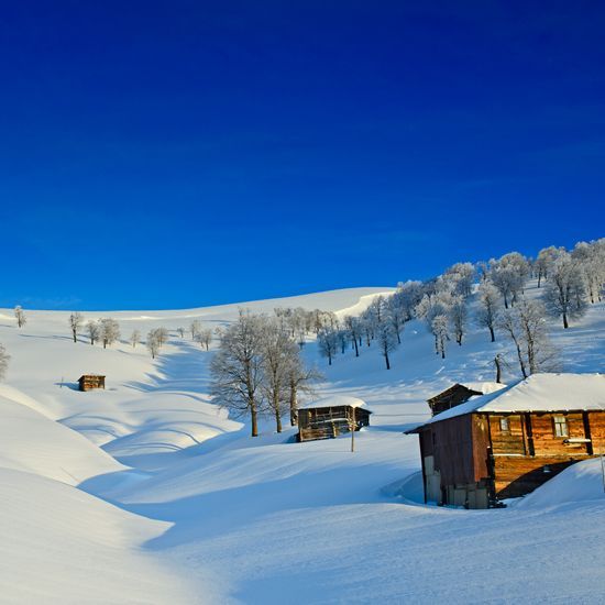 გოდერძის უღელტეხილი