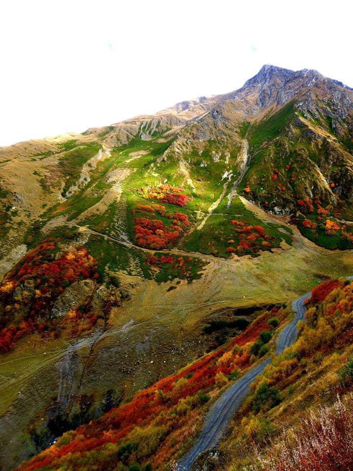 ოქროსფერი შემოდგომა თუშეთში    სექტემბერი  დღიანი ტური     /    