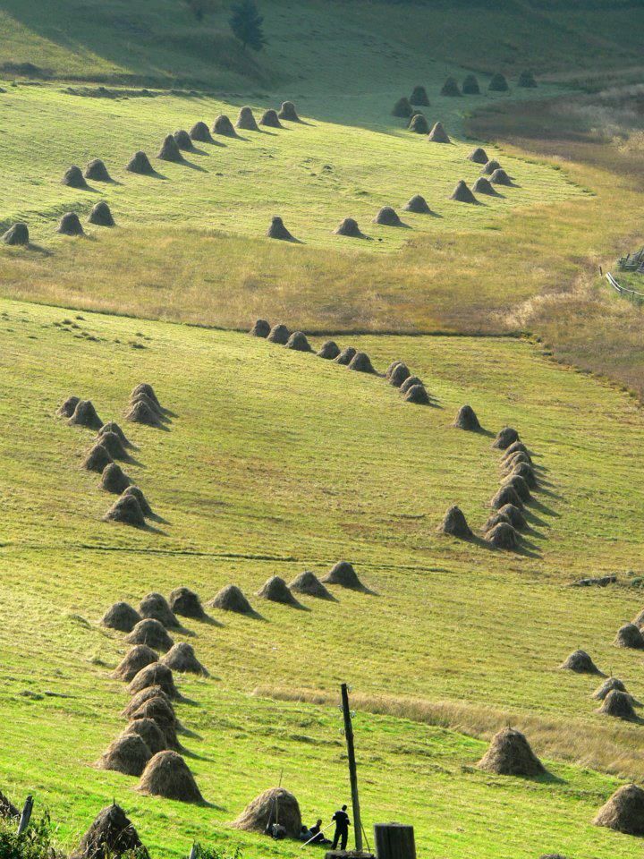 ოქროსფერი შემოდგომა თუშეთში    სექტემბერი  დღიანი ტური     /    