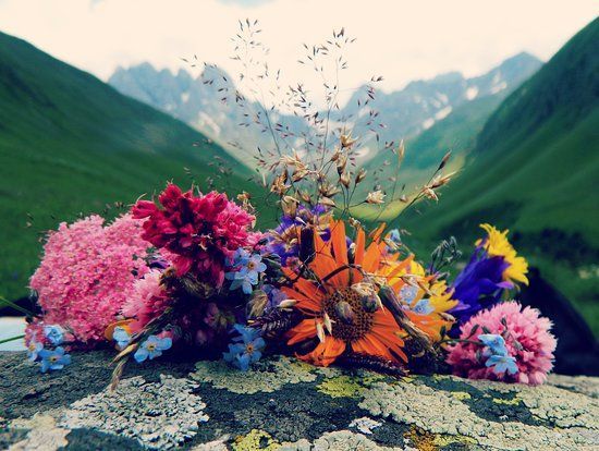 დღიანი ტური ჯუთა - ჭაუხები