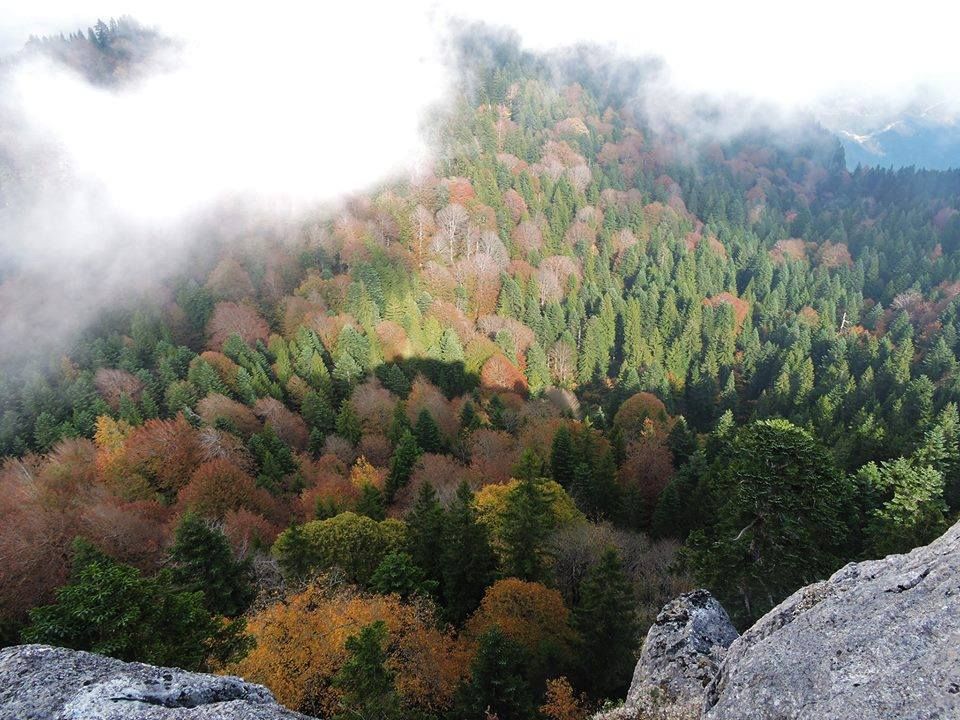 შემოდგომისფერი რაჭა ( დღიანი ტური )