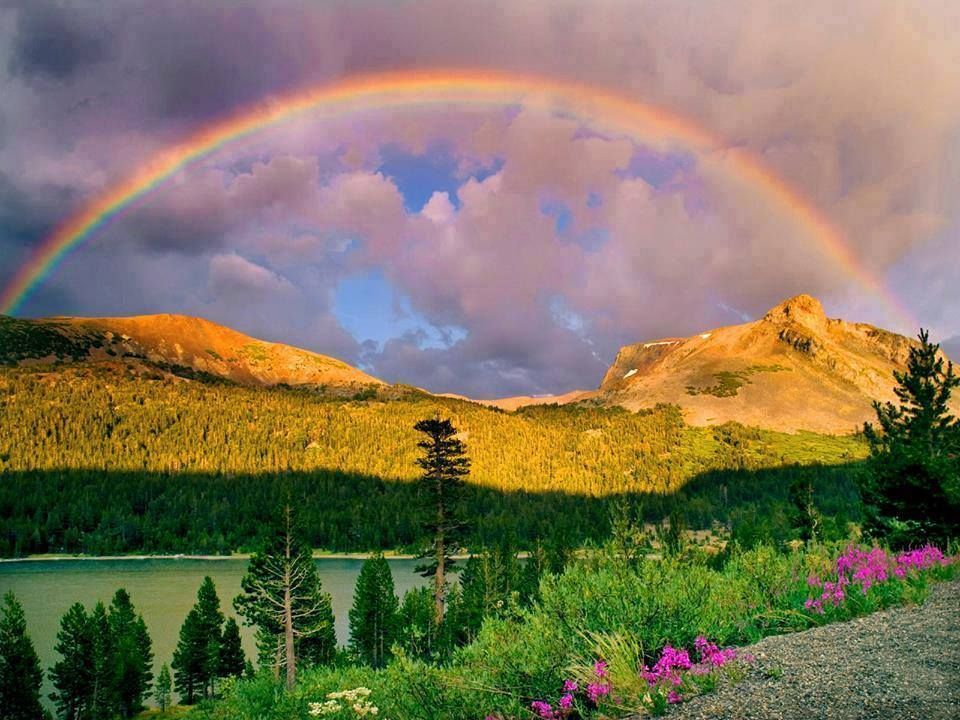 იჩქარეთ !!! რაჭა -(შაბათი-კვირა)+კვება დარჩა ადგილი