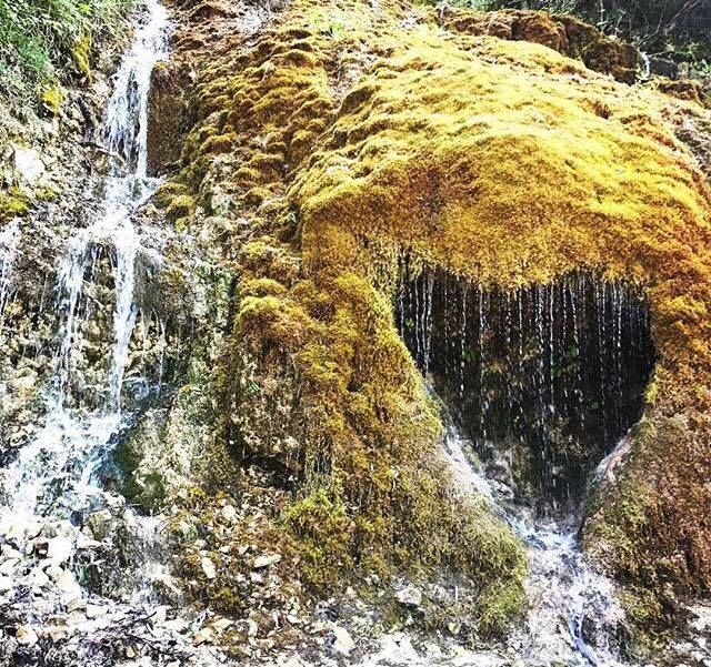 იჩქარეთ !!! რაჭა -(შაბათი-კვირა)+კვება დარჩა ადგილი