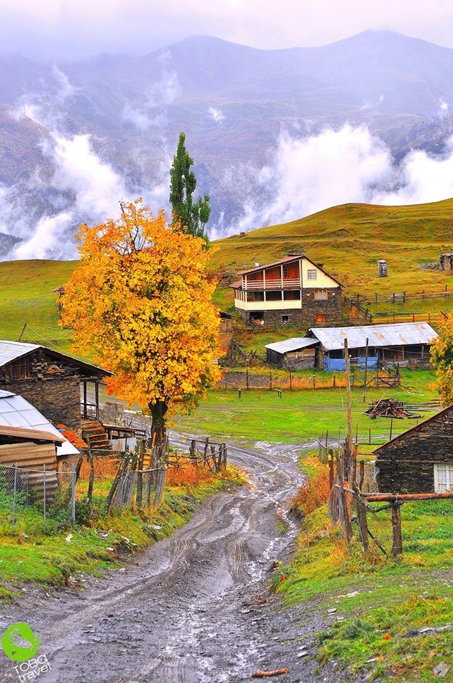 ფერადი შემოდგომა თუშეთში –– სექტემბერ–ოქტომბერი დღიანი ტური /