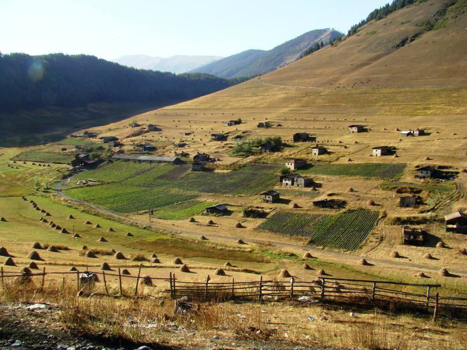 ფერადი შემოდგომა თუშეთში –– სექტემბერ–ოქტომბერი  დღიანი ტური     /    