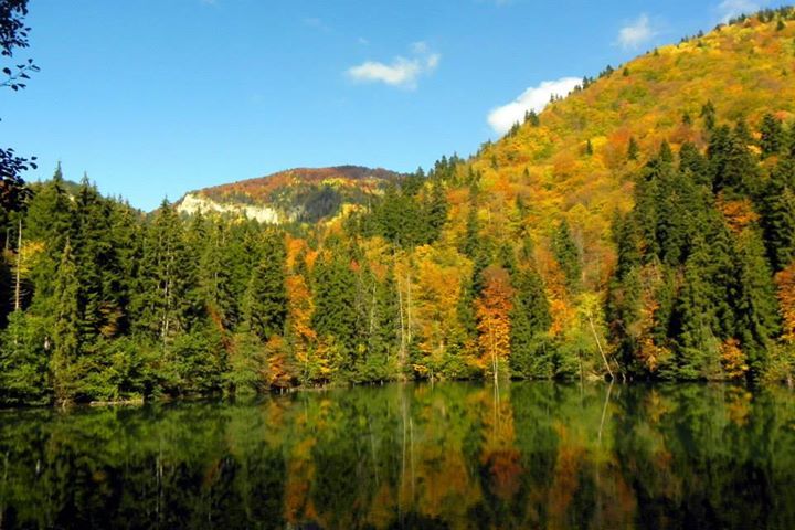 ორდღიანი ტური მხოლოდ . რომელიც ოფსერვატორიასაც მოიცავს