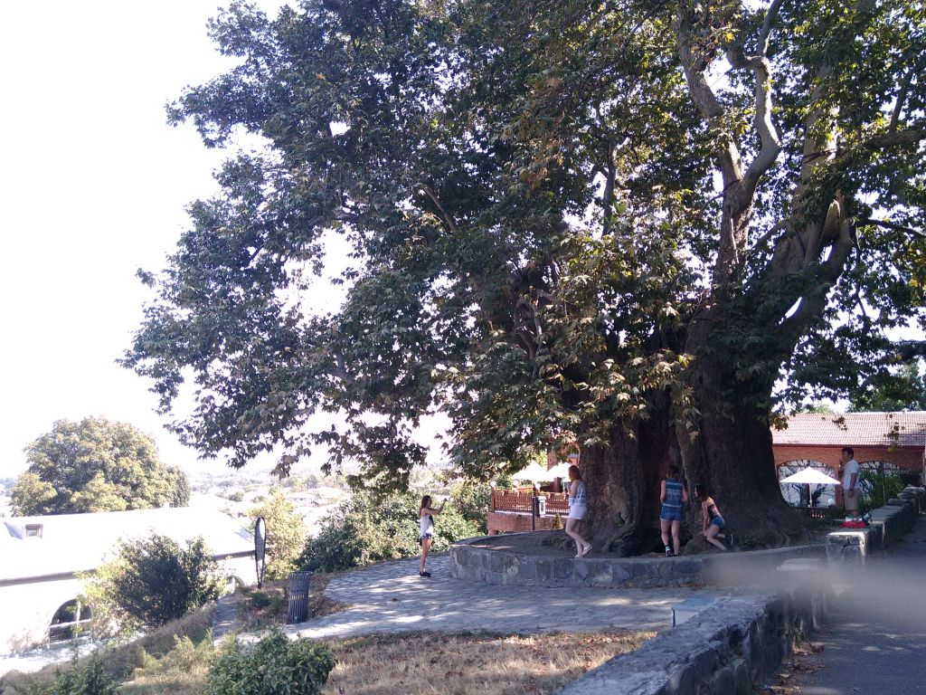 შუამთის მონასტერი, თელავი, წინანდალი, ალავერდი, გრემი, ილიას ტბა, ნეკრესი...