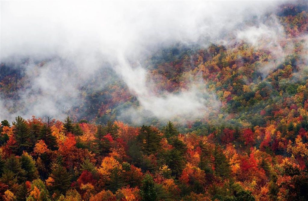 გაატარეთ შემოდგომის თუშეთში  ლამაზი დღე (-) (--)ოქტომბერი....ეს ყველაფერი მხოლოდ -