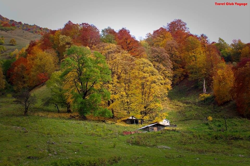 ფერადი გუდამაყარი - სექტემბერი, შაბათი.