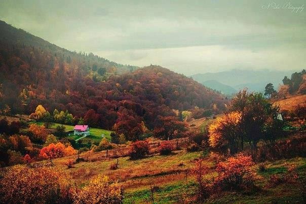 ფერადი გუდამაყარი - სექტემბერი, შაბათი.