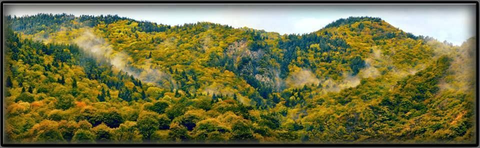 ფერადი რკონი - ოქტომბერი, კვირა.